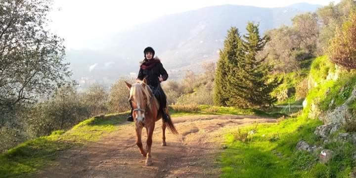 Villamorosa Calci Dış mekan fotoğraf