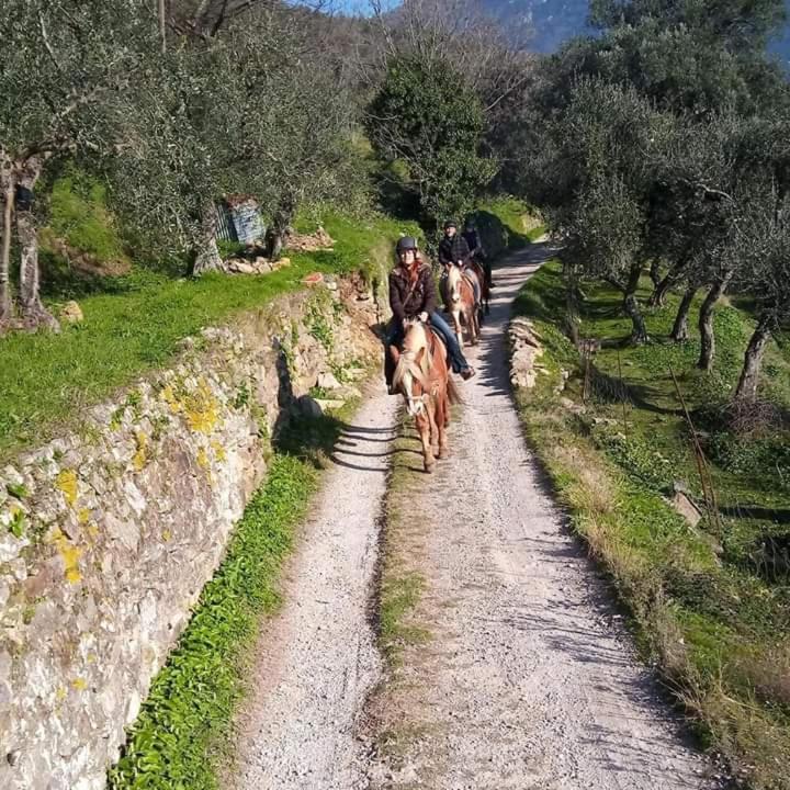 Villamorosa Calci Dış mekan fotoğraf